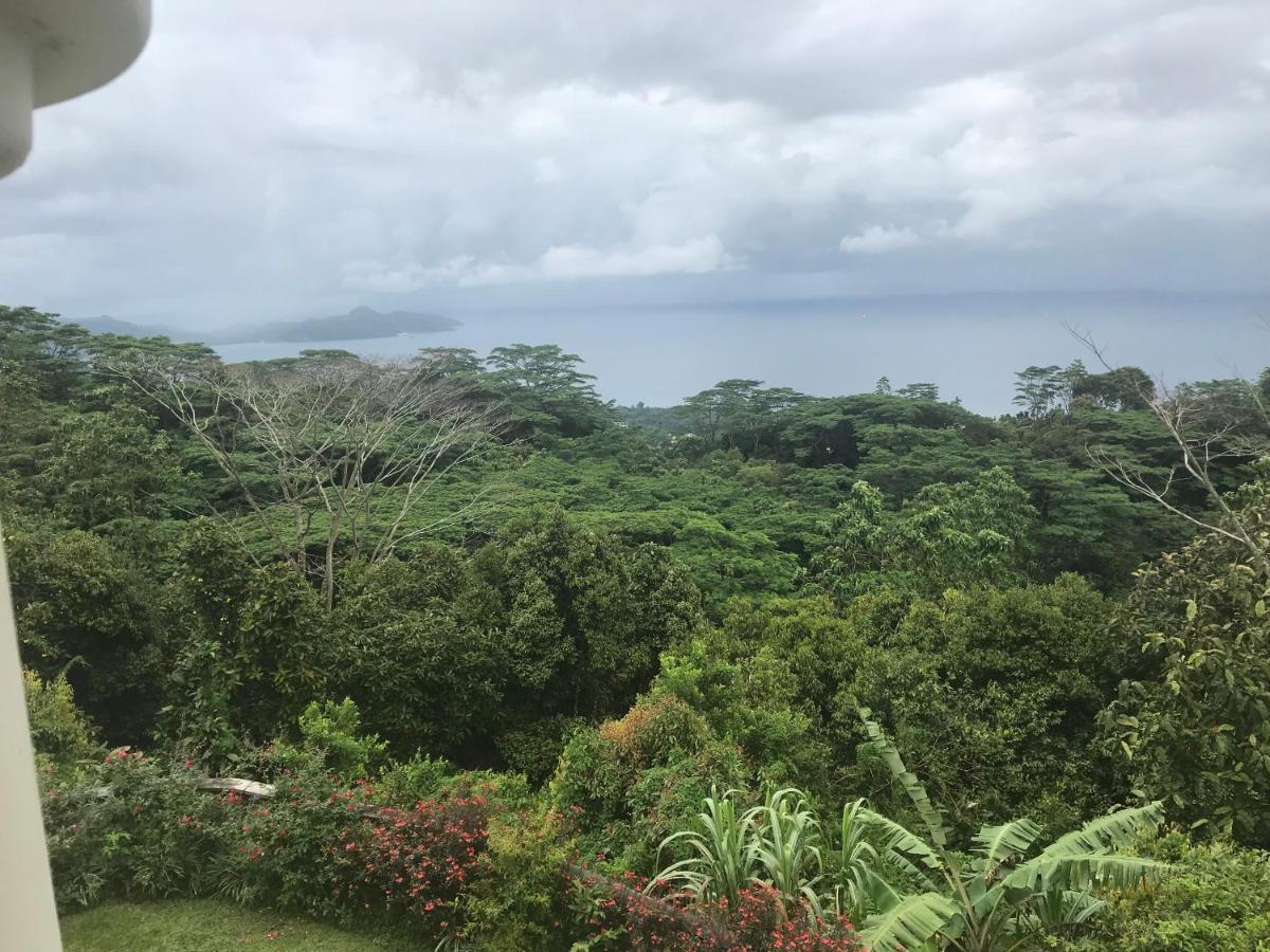 빅토리아 Tropical Garden Self Catering 빌라 외부 사진