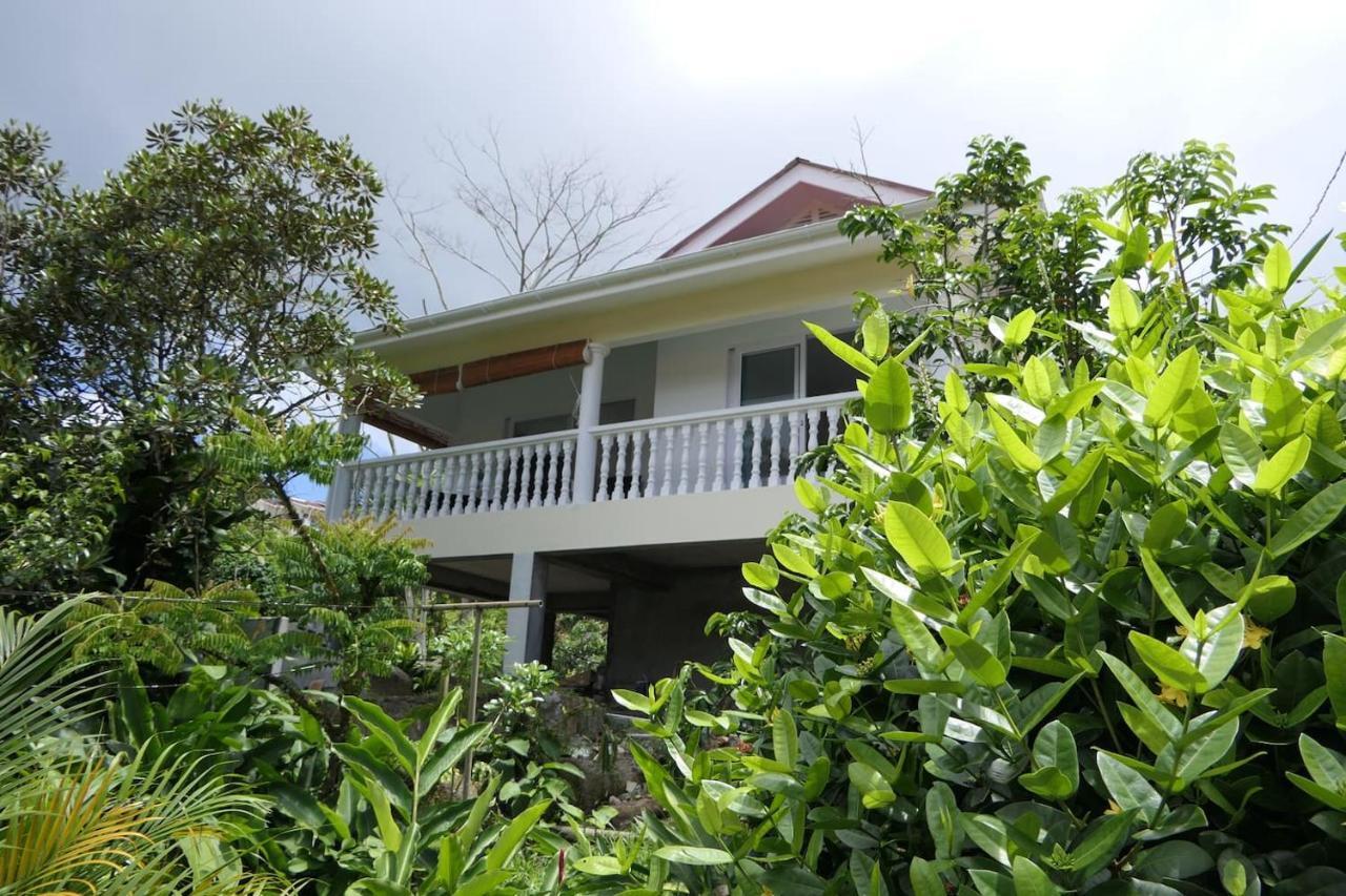 빅토리아 Tropical Garden Self Catering 빌라 외부 사진