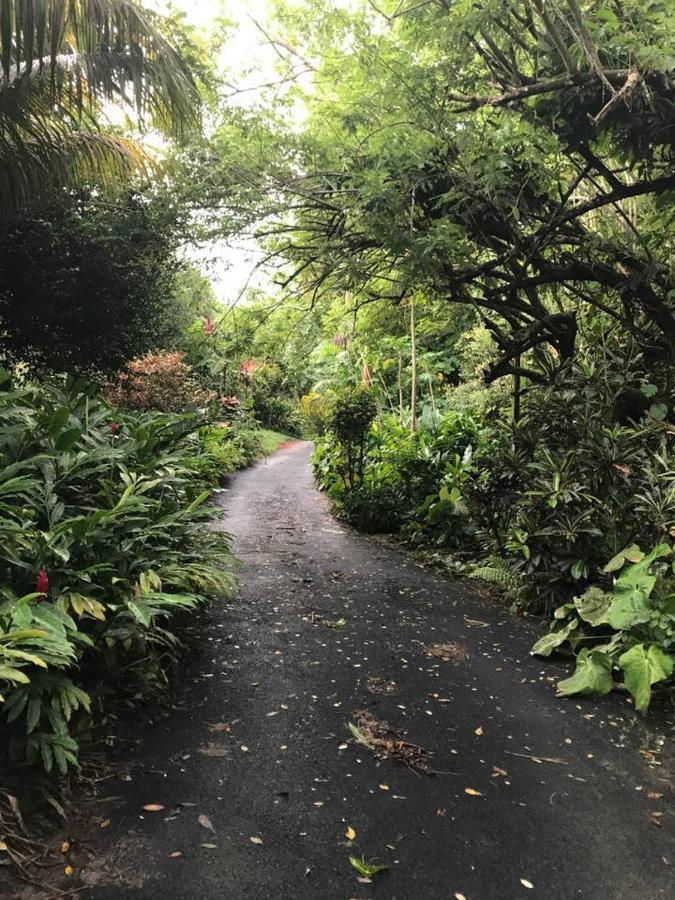 빅토리아 Tropical Garden Self Catering 빌라 외부 사진