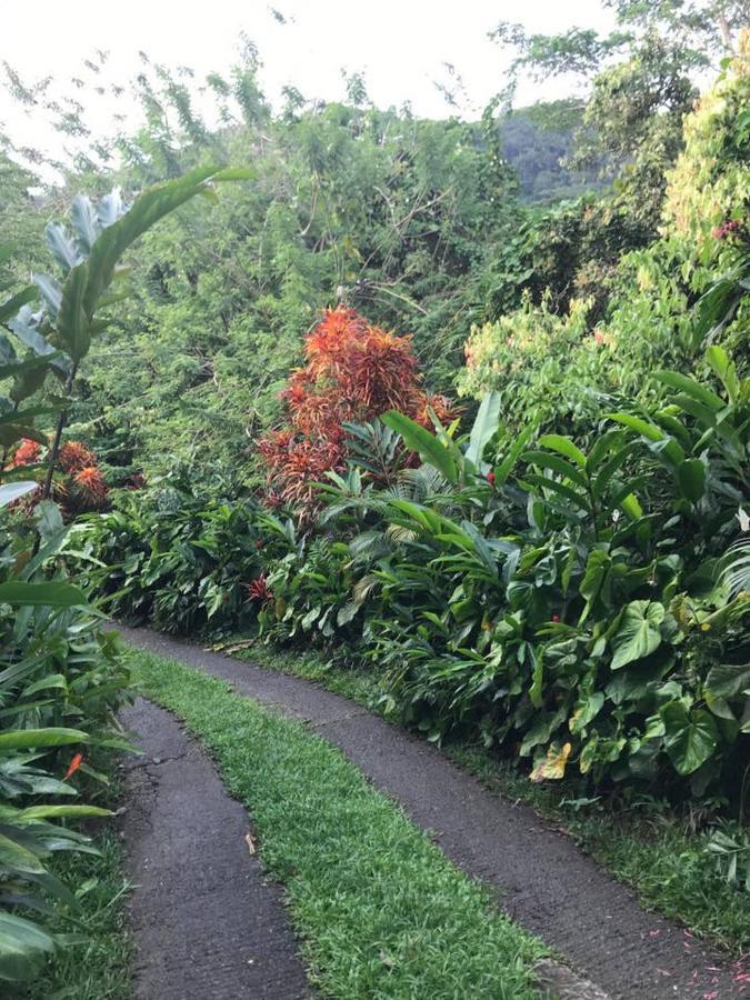 빅토리아 Tropical Garden Self Catering 빌라 외부 사진