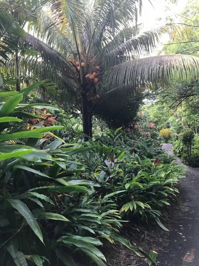 빅토리아 Tropical Garden Self Catering 빌라 외부 사진