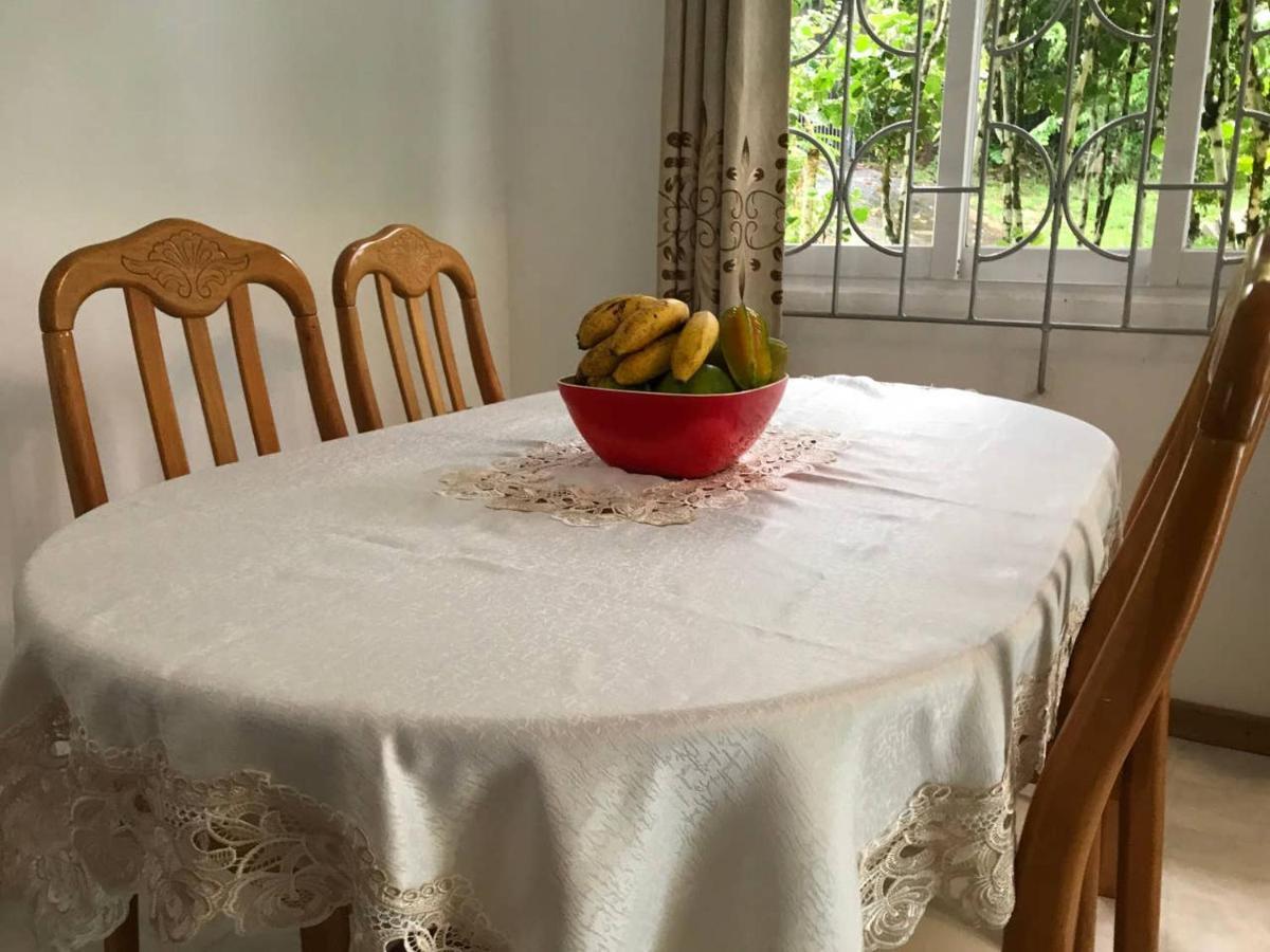 빅토리아 Tropical Garden Self Catering 빌라 외부 사진